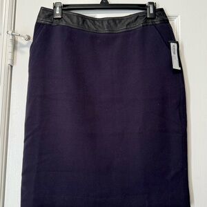 Elegant Black Women's Skirt